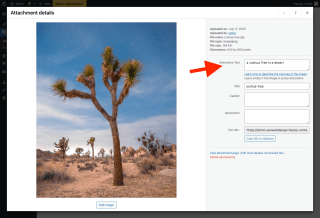 set the alt-text in wp